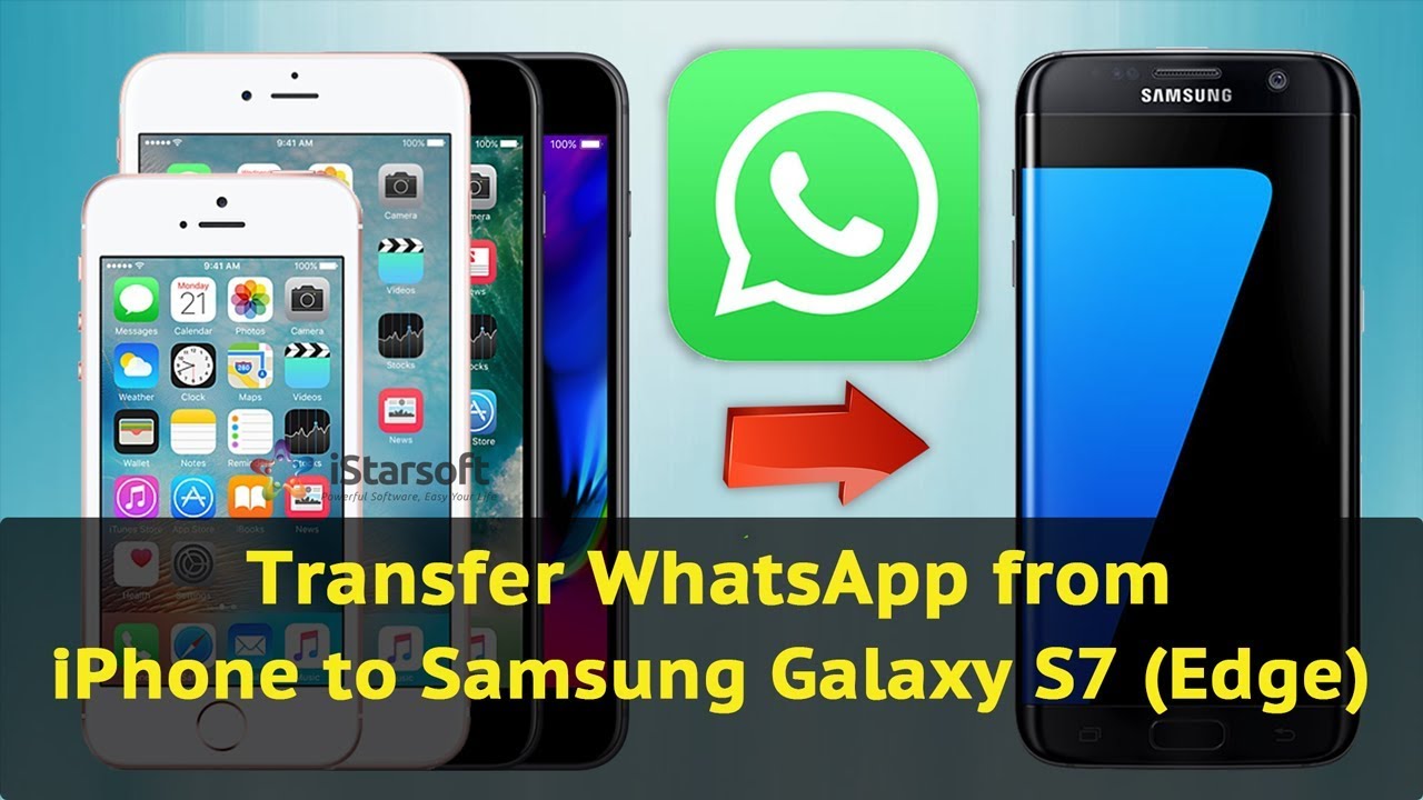 how to transfer whatsapp to new iphone